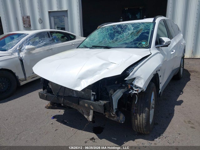 Hyundai Tucson Preferred Awd 2026 3KMJBCDEXTE034543 Image 6
