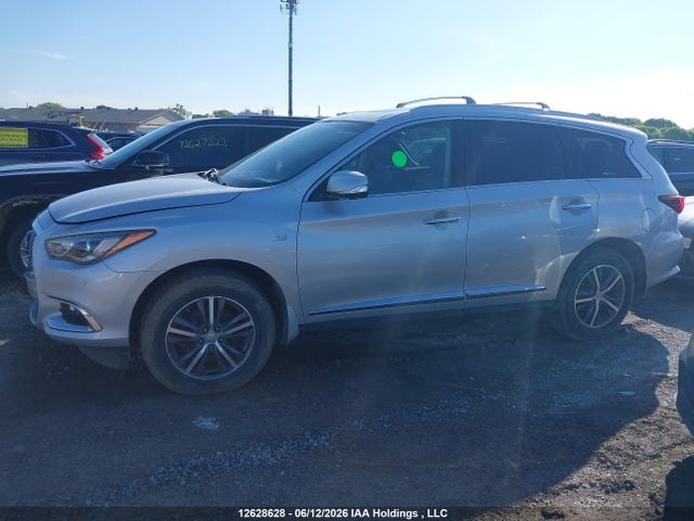 5N1DL0MM8KC524368 Infiniti Qx60 Luxe/pure