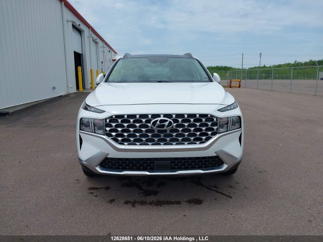2022 Hyundai Santa Fe Sel მანქანა იყიდება აუქციონზე, vin: 5NMS3DAJ6NH387787, აუქციონის ნომერი: 12628651