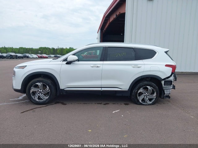 2022 Hyundai Santa Fe Sel მანქანა იყიდება აუქციონზე, vin: 5NMS3DAJ6NH387787, აუქციონის ნომერი: 12628651