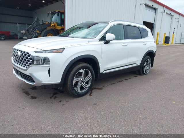 2022 Hyundai Santa Fe Sel მანქანა იყიდება აუქციონზე, vin: 5NMS3DAJ6NH387787, აუქციონის ნომერი: 12628651