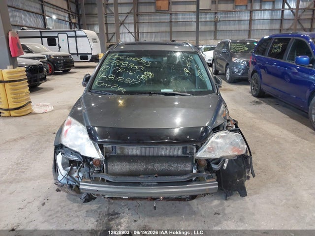 2010 Honda Cr-v Exl მანქანა იყიდება აუქციონზე, vin: 5J6RE4H73AL812517, აუქციონის ნომერი: 12628903