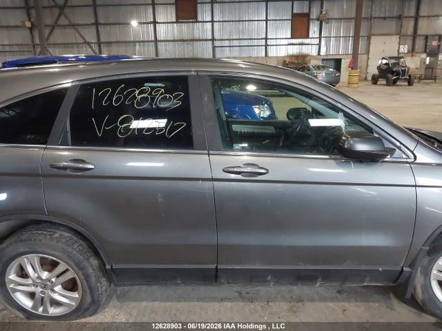 2010 Honda Cr-v Exl მანქანა იყიდება აუქციონზე, vin: 5J6RE4H73AL812517, აუქციონის ნომერი: 12628903
