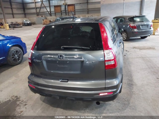 2010 Honda Cr-v Exl მანქანა იყიდება აუქციონზე, vin: 5J6RE4H73AL812517, აუქციონის ნომერი: 12628903