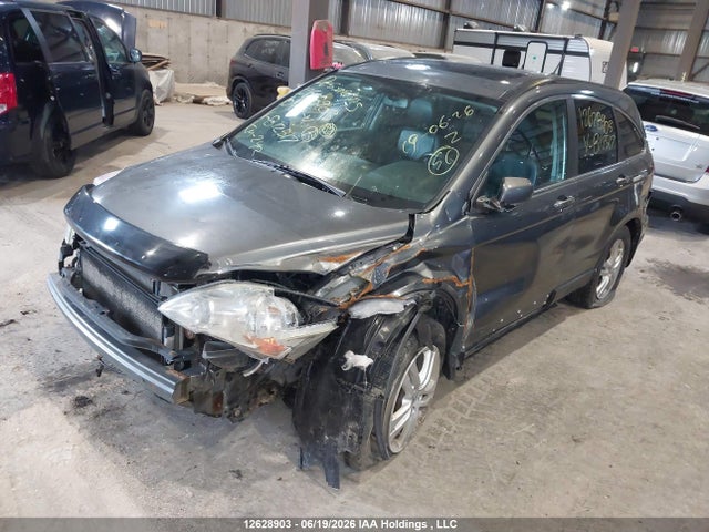 2010 Honda Cr-v Exl მანქანა იყიდება აუქციონზე, vin: 5J6RE4H73AL812517, აუქციონის ნომერი: 12628903