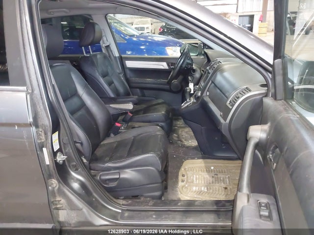 2010 Honda Cr-v Exl მანქანა იყიდება აუქციონზე, vin: 5J6RE4H73AL812517, აუქციონის ნომერი: 12628903