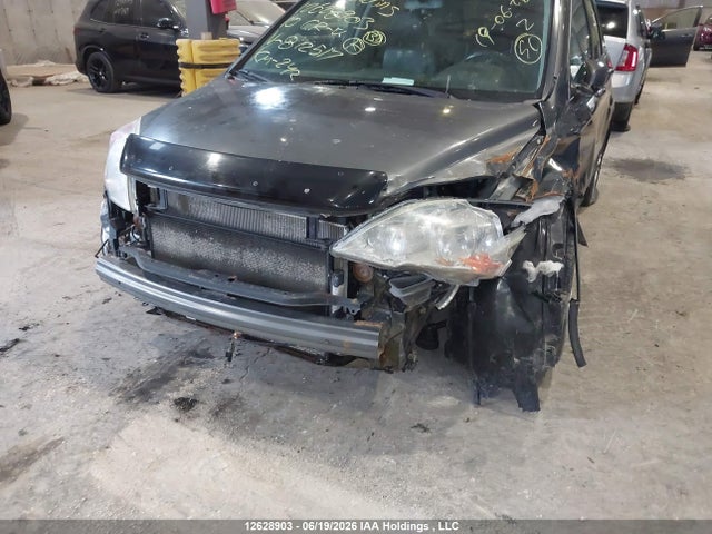 2010 Honda Cr-v Exl მანქანა იყიდება აუქციონზე, vin: 5J6RE4H73AL812517, აუქციონის ნომერი: 12628903