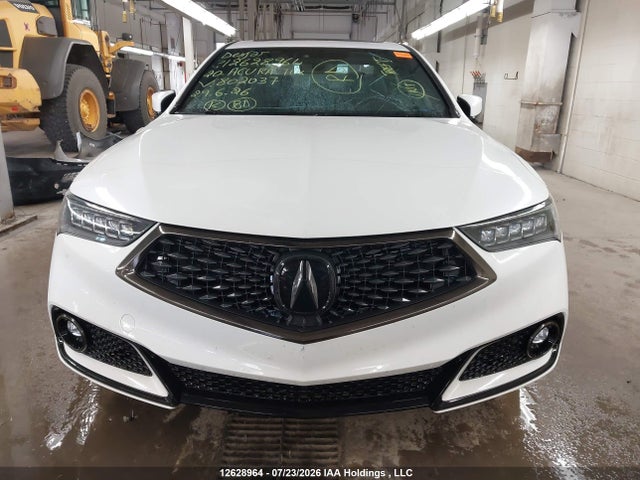 Продажа на аукционе авто 2020 Acura Tlx Technology/a-spec, vin: 19UUB3F69LA802037, номер лота: 12628964