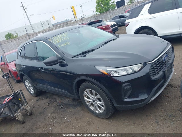 Auction sale of the 2024 Ford Escape Active, vin: 1FMCU9GN1RUA27541, lot number: 12628976