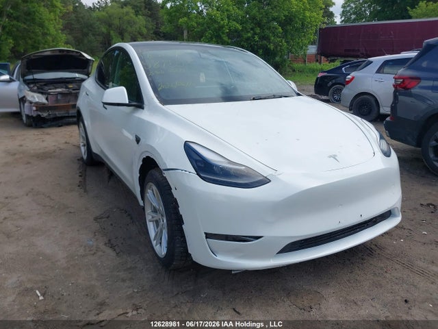 Продажа на аукционе авто 2023 Tesla Model Y, vin: 7SAYGDEEXPF587557, номер лота: 12628981