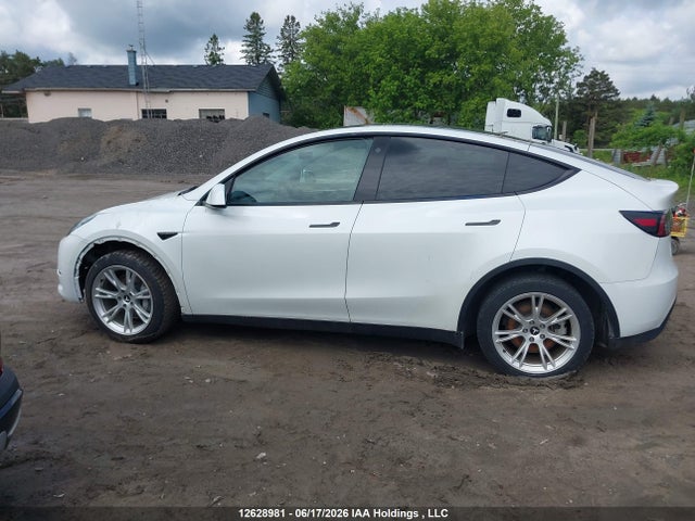 Aukcja sprzedaży 2023 Tesla Model Y, vin: 7SAYGDEEXPF587557, numer aukcji: 12628981