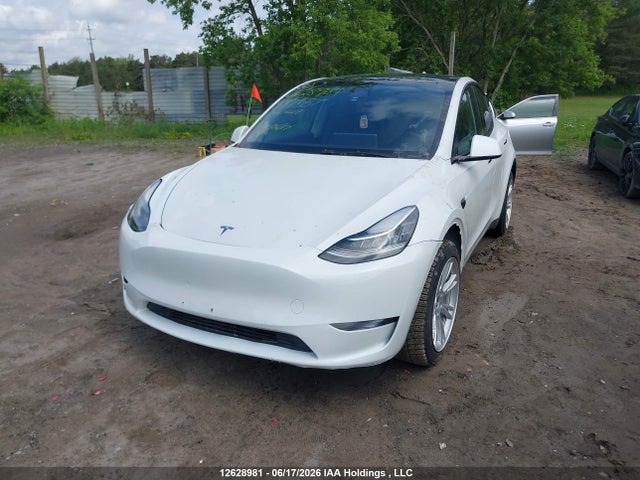Aukcja sprzedaży 2023 Tesla Model Y, vin: 7SAYGDEEXPF587557, numer aukcji: 12628981