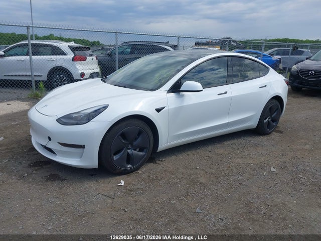 12629035 :رقم المزاد ، LRW3E1EB1PC851471 vin ، 2023 Tesla Model 3 Long Range مزاد بيع