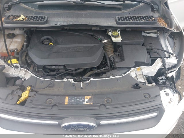 2014 Ford Escape მანქანა იყიდება აუქციონზე, vin: 1FMCU0GX7EUC11843, აუქციონის ნომერი: 12629074