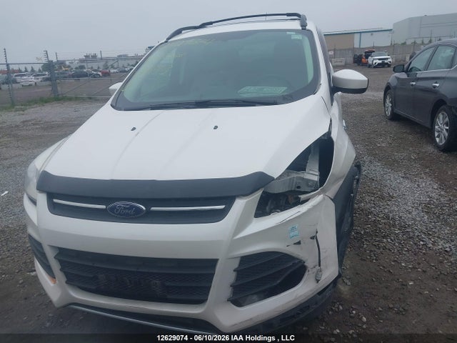 2014 Ford Escape მანქანა იყიდება აუქციონზე, vin: 1FMCU0GX7EUC11843, აუქციონის ნომერი: 12629074