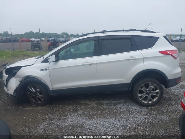 2014 Ford Escape მანქანა იყიდება აუქციონზე, vin: 1FMCU0GX7EUC11843, აუქციონის ნომერი: 12629074