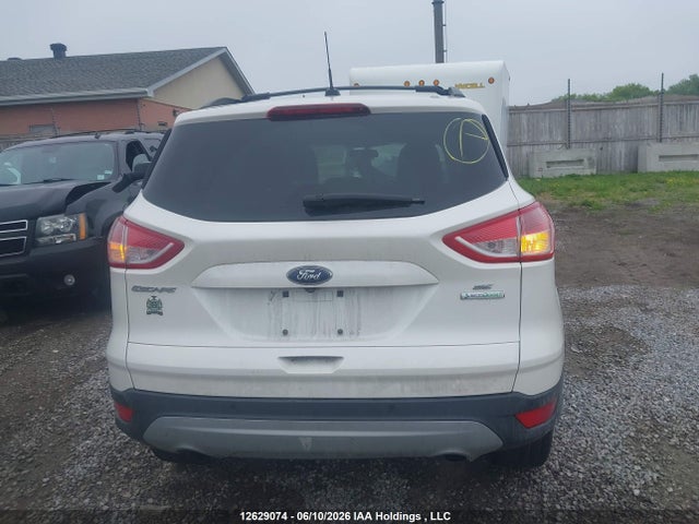 2014 Ford Escape მანქანა იყიდება აუქციონზე, vin: 1FMCU0GX7EUC11843, აუქციონის ნომერი: 12629074