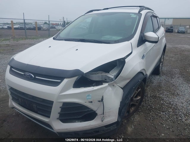 2014 Ford Escape მანქანა იყიდება აუქციონზე, vin: 1FMCU0GX7EUC11843, აუქციონის ნომერი: 12629074