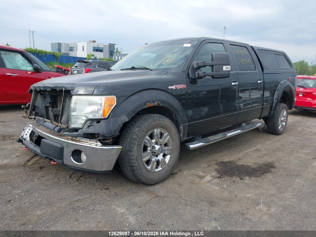 12629097 :رقم المزاد ، 1FTFW1EV6AFA23414 vin ، 2010 Ford F150 Supercrew مزاد بيع