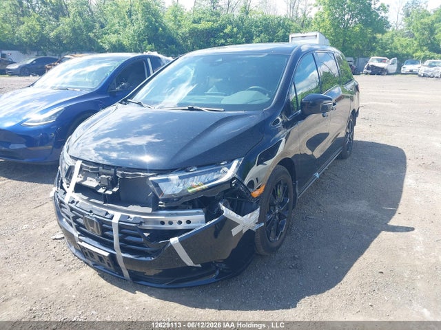 2023 Honda Odyssey Black Edition მანქანა იყიდება აუქციონზე, vin: 5FNRL6H01PB502095, აუქციონის ნომერი: 12629113