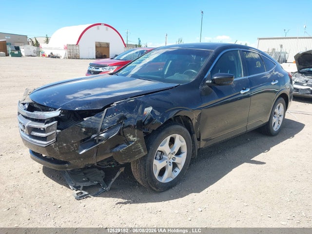 2011 Honda Accord Crosstour Ex-l მანქანა იყიდება აუქციონზე, vin: 5J6TF2H54BL800755, აუქციონის ნომერი: 12629192