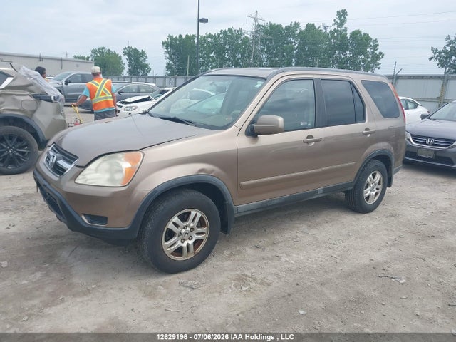 2004 Honda Cr-v Ex-l მანქანა იყიდება აუქციონზე, vin: JHLRD78944C806535, აუქციონის ნომერი: 12629196