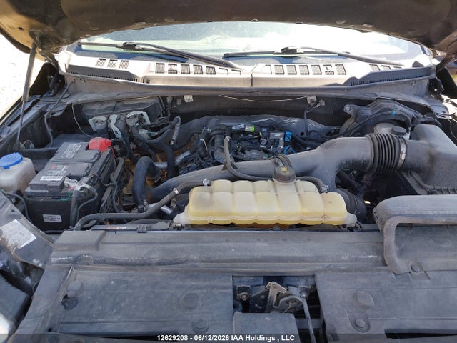 12629208 :رقم المزاد ، 1FTEW1EP6LFB93546 vin ، 2020 Ford F150 Supercrew مزاد بيع