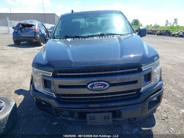 12629208 :رقم المزاد ، 1FTEW1EP6LFB93546 vin ، 2020 Ford F150 Supercrew مزاد بيع