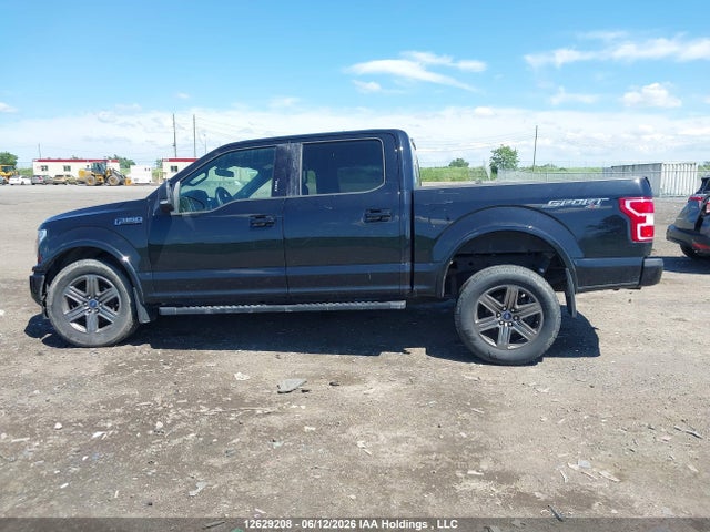 12629208 :رقم المزاد ، 1FTEW1EP6LFB93546 vin ، 2020 Ford F150 Supercrew مزاد بيع