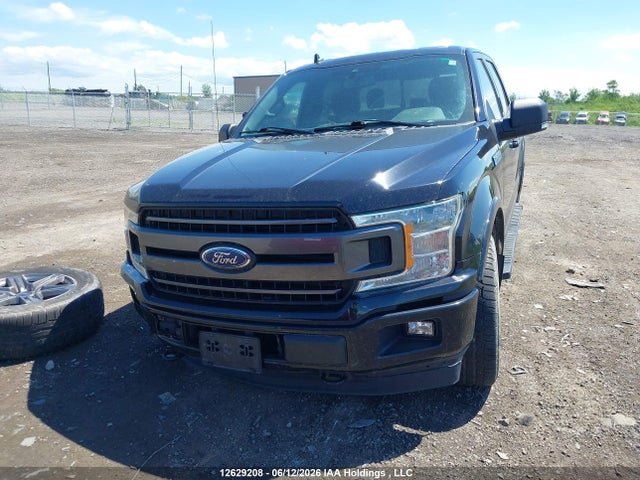 12629208 :رقم المزاد ، 1FTEW1EP6LFB93546 vin ، 2020 Ford F150 Supercrew مزاد بيع