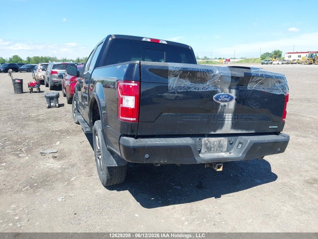 12629208 :رقم المزاد ، 1FTEW1EP6LFB93546 vin ، 2020 Ford F150 Supercrew مزاد بيع