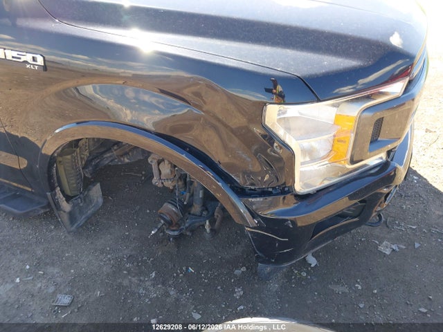 12629208 :رقم المزاد ، 1FTEW1EP6LFB93546 vin ، 2020 Ford F150 Supercrew مزاد بيع