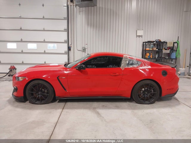 1FA6P8JZ7G5520894 Ford Mustang Shelby Gt350