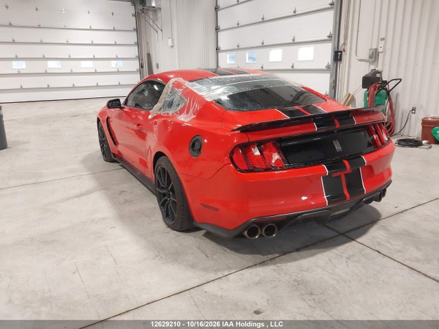 1FA6P8JZ7G5520894 Ford Mustang Shelby Gt350