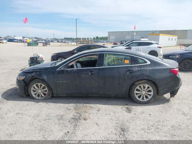 Aukcja sprzedaży 2024 Chevrolet Malibu 1lt, vin: 1G1ZD5ST7RF214647, numer aukcji: 12629227