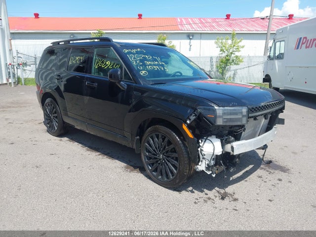 2025 Hyundai Santa Fe Calligraphy მანქანა იყიდება აუქციონზე, vin: 5NMP5DGL3SH103973, აუქციონის ნომერი: 12629241