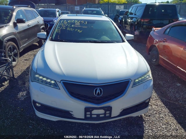 12629253 :رقم المزاد ، 19UUB3F7XFA800746 vin ، 2015 Acura Tlx Advance مزاد بيع