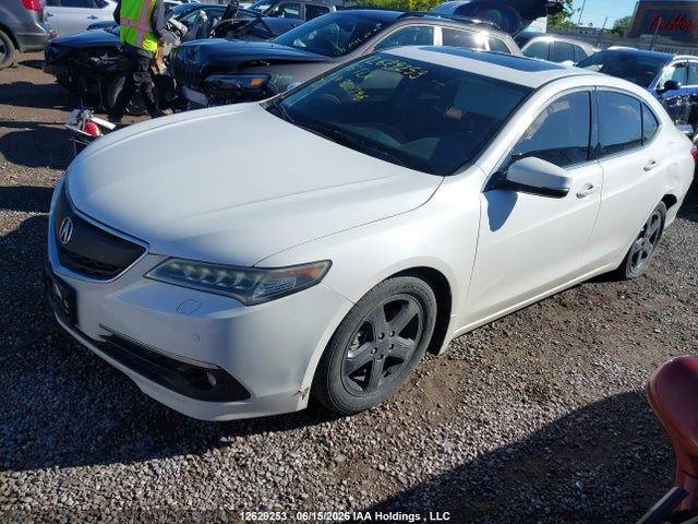 12629253 :رقم المزاد ، 19UUB3F7XFA800746 vin ، 2015 Acura Tlx Advance مزاد بيع