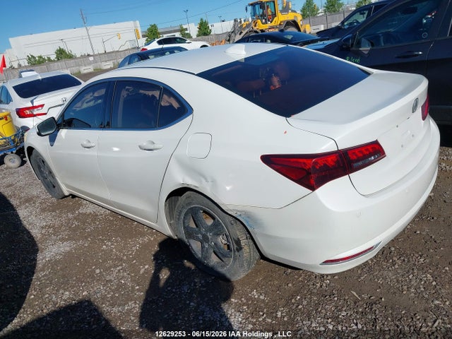 12629253 :رقم المزاد ، 19UUB3F7XFA800746 vin ، 2015 Acura Tlx Advance مزاد بيع