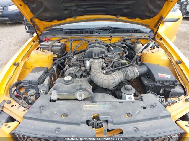 2009 Ford Mustang V6 მანქანა იყიდება აუქციონზე, vin: 1ZVHT80N195117622, აუქციონის ნომერი: 12629266
