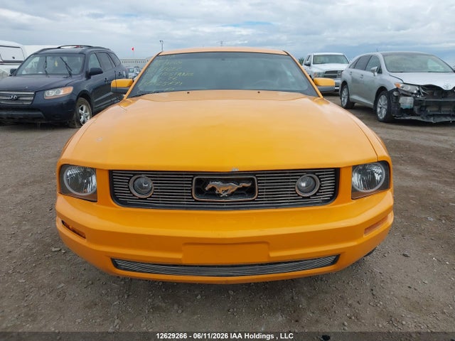 2009 Ford Mustang V6 მანქანა იყიდება აუქციონზე, vin: 1ZVHT80N195117622, აუქციონის ნომერი: 12629266