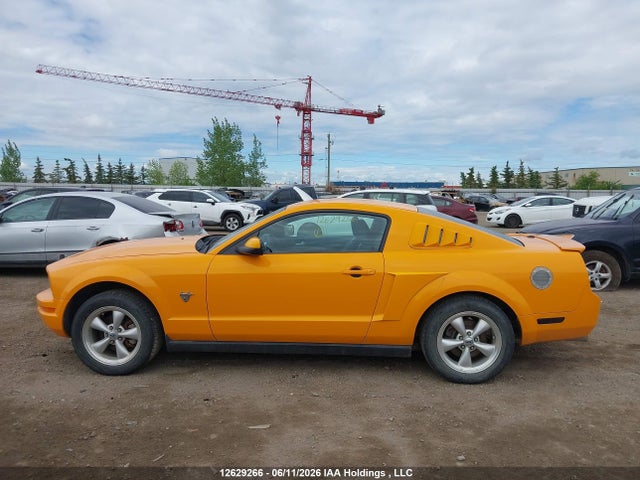 2009 Ford Mustang V6 მანქანა იყიდება აუქციონზე, vin: 1ZVHT80N195117622, აუქციონის ნომერი: 12629266