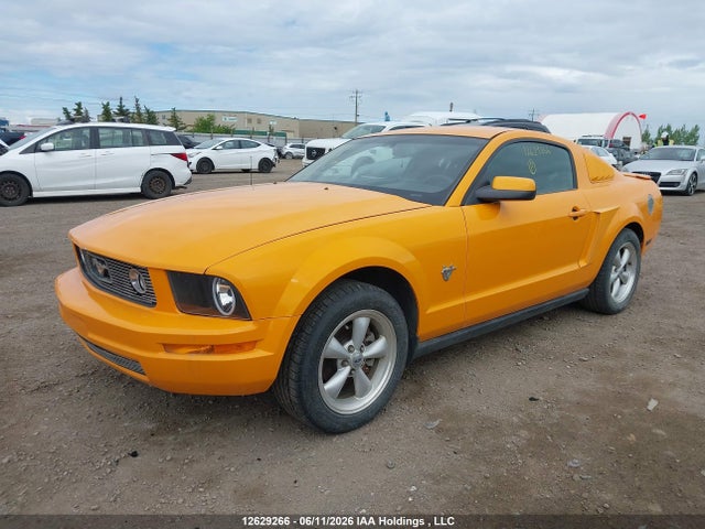 2009 Ford Mustang V6 მანქანა იყიდება აუქციონზე, vin: 1ZVHT80N195117622, აუქციონის ნომერი: 12629266