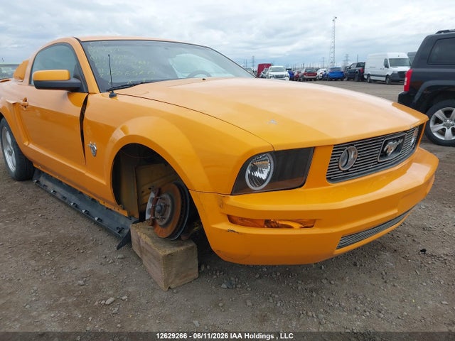 2009 Ford Mustang V6 მანქანა იყიდება აუქციონზე, vin: 1ZVHT80N195117622, აუქციონის ნომერი: 12629266