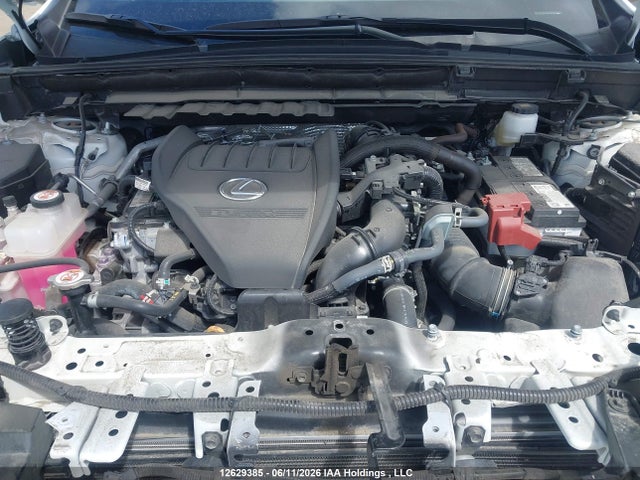 12629385 :رقم المزاد ، 2T2KGCEZ3RC055621 vin ، 2024 Lexus Nx 350 مزاد بيع