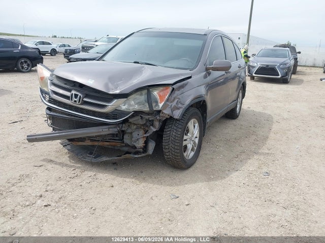 Aukcja sprzedaży 2011 Honda Cr-v Ex, vin: 5J6RE4H5XBL823403, numer aukcji: 12629413