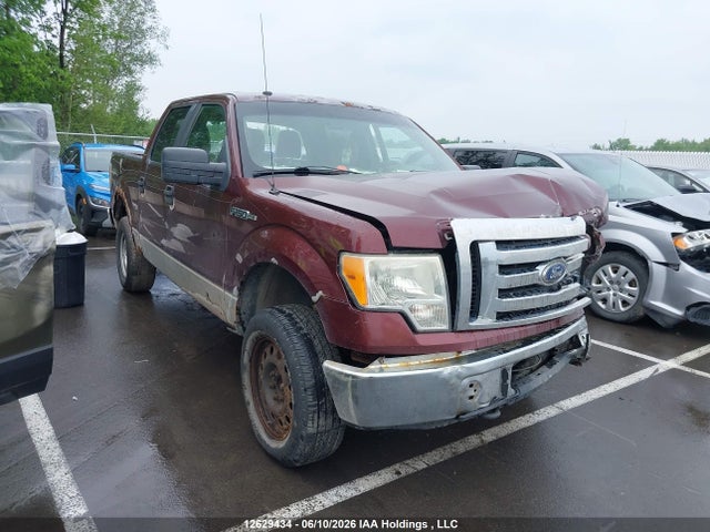 Продажа на аукционе авто 2010 Ford F150 Supercrew, vin: 1FTEW1E80AKA64215, номер лота: 12629434