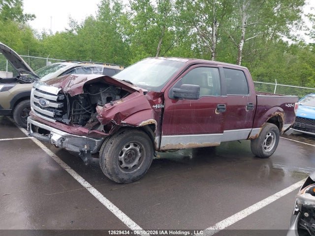 Продажа на аукционе авто 2010 Ford F150 Supercrew, vin: 1FTEW1E80AKA64215, номер лота: 12629434