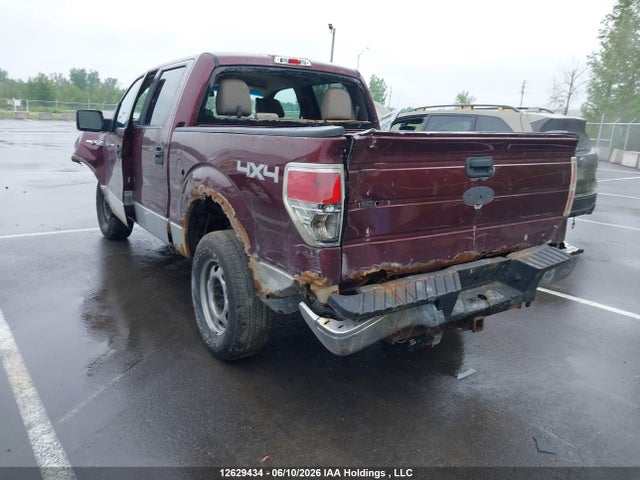 Продажа на аукционе авто 2010 Ford F150 Supercrew, vin: 1FTEW1E80AKA64215, номер лота: 12629434