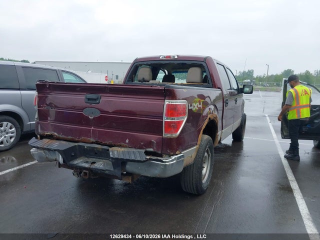 Продажа на аукционе авто 2010 Ford F150 Supercrew, vin: 1FTEW1E80AKA64215, номер лота: 12629434
